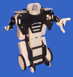 Robotic Football League Robot