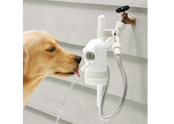 Dog Activated Outdoor Fountain